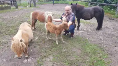 Auch Ponys gibt es beim Märchencamping. Erst vor Kurzem haben sie Nachwuchs bekommen. Normalerweise bieten die Reiters auch Veranstaltungen mit den Tieren an, wie Reiten für Kinder und ein Ponypicknick.