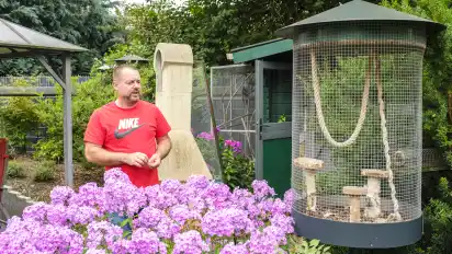Andreas Weger züchtet Streifenhörnchen in seinem Garten. Die Volieren sind über Gänge und Tunnel miteinander verbunden.
