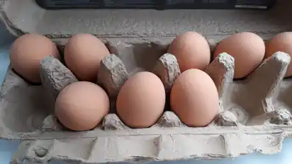 Eier aus Gummi verkaufen sich gut im Shop der Weserburg.