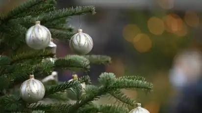 Zu Weihnachten gehört für viele auch ein dekorierter Baum. Foto: Marijan Murat/dpa