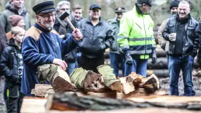 Borkenkäfer Waldbesitzer fällen Bäume in Hambergen