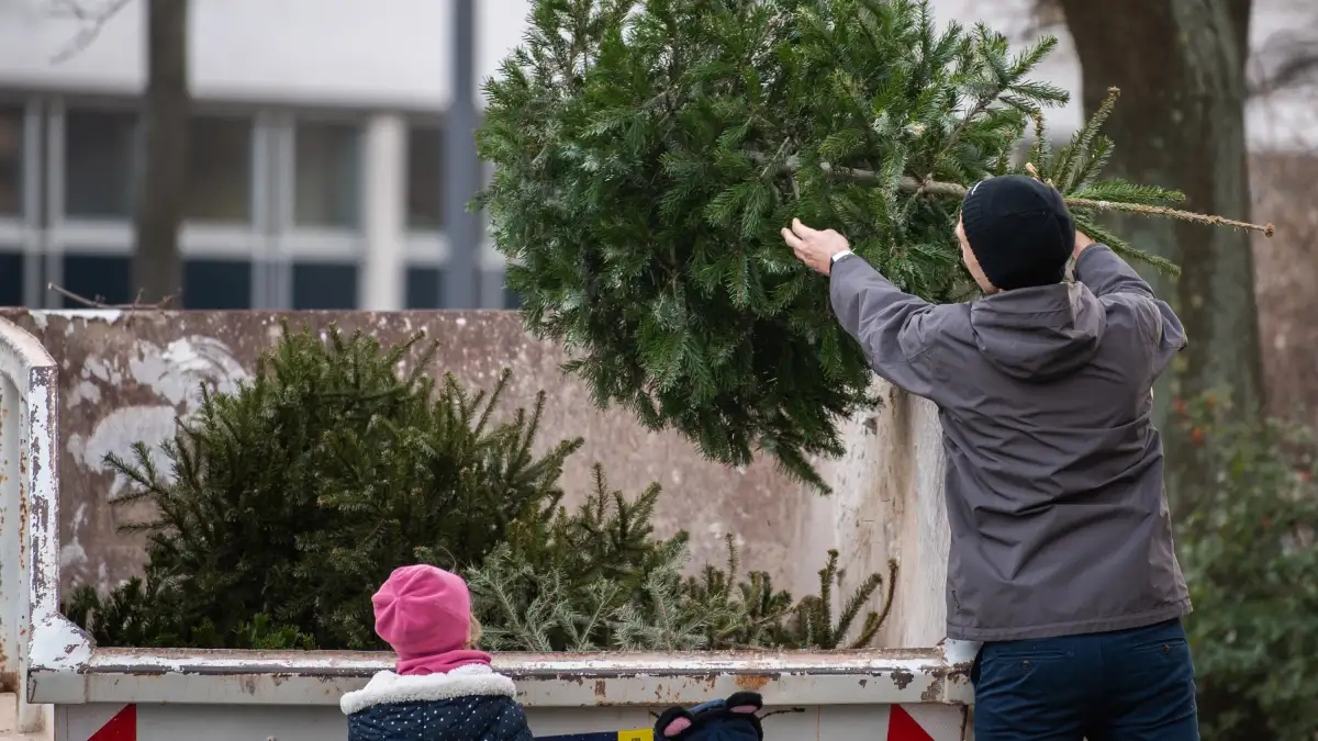 Wann Werden Die Weihnachtsbäume Abgeholt 2025 An diesen Tagen werden die Weihnachtsbäume in Bremen abgeholt