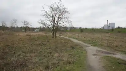 Die 20 Hektar große Fläche an der Diedrich-Wilkens-Straße in Hemelingen liegt seit Jahren brach.
