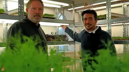 Sind eigentlich im Schiffbau tätig: Rickard Adolfsson (links) und Onur Kartal. Die beiden Leuchtenburger haben ein Start Up gegründet und beliefern Grünmärkte und Sterneköche mit Keimlingen.