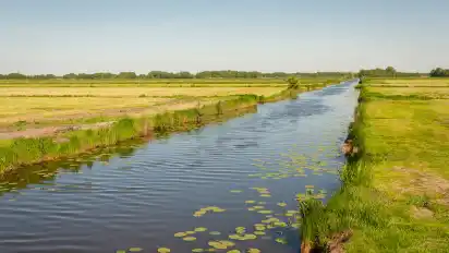 Viel Grün und Wasser gibt es im Oberblockland zu sehen.