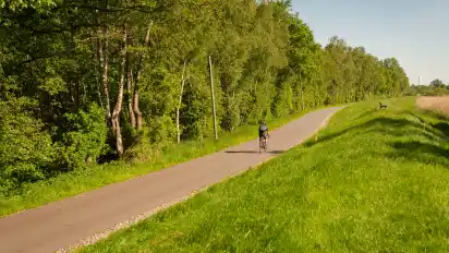 Der Weg führt auch durch das idyllische Oberblockland.
