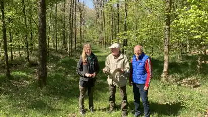 Heute: Peter Zwiener (rechts) inmitten der 1982 gepflanzten Eichen mit Janna Dießelberg und Gabriel Theermann (von links).