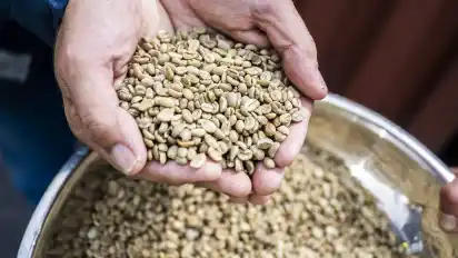Rohkaffee im Lager des Bremer Logistikdienstleisters J. Müller Weser im Industriehafen. DIe Läger in Bremen sind momentan mit so viel Kaffeesäcken so vollgelaufen wie lange nicht. Nicht ganz unschuldig an dieser Situation ist eine Verordnung der Europäischen Union.
