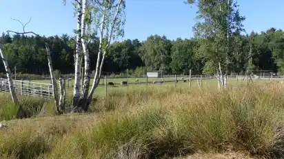 Auch landschaftlich hat der acht Hektar große Tierpark Cux-Art viel zu bieten.