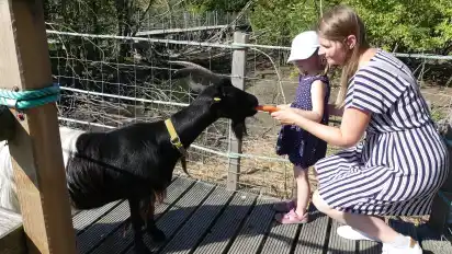 Im Tierpark Cux-Art sind jede Menge direkter Tierbegegnungen möglich.