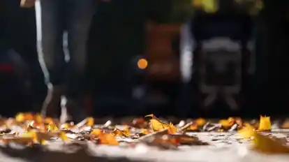 Bei Trockenheit weniger rutschig als bei Nässe: Herbstlaub auf Gehwegen und Straßen.