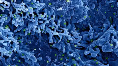 Die Weltgesundheitsorganisation (WHO) benutzt ab sofort statt Monkeypox die Bezeichnung Mpox.