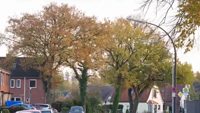 Für die Pflege der Bäume im öffentlichen Raum ist in Delmenhorst der Fachdienst Stadtgrün und Naturschutz verantwortlich. Unsere Aufnahme entstand an der Brauenkamper Straße.