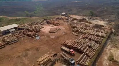 Holzstämme werden in Brasilien in einem Sägewerk gestapelt: Beim Weltnaturgipfel im kanadischen Montreal geht es um Artenschutz und einen grundlegenden Wandel im Wirtschaftssystem.