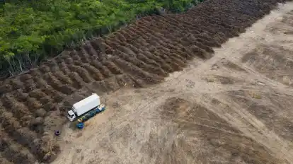 Ein Lastwagen steht in einem abgeholzten Gebiet des Amazonas. Die EU geht mit einem neuen Gesetz gegen die Abholzung der Wälder vor.