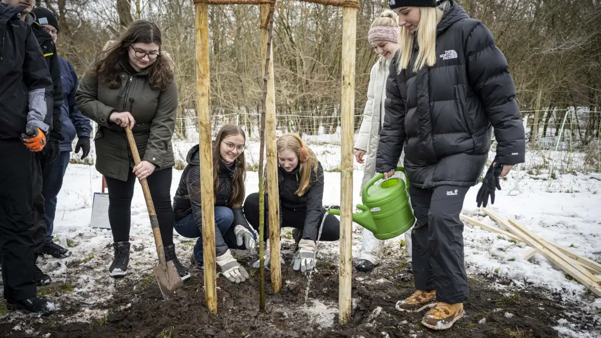 Schüler der KGS Leeste pflanzen Obstbäume beim Nabu in Weyhe