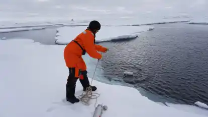 AWI-Wissenschaftlerin Melanie Bergmann nimmt eine Wasserprobe in der Arktis.