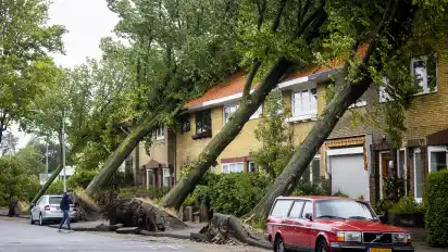 Der Sturm "Poly" sorgte in den Niederlanden für heftige Schäden. In Haarlem (nördlich von Amsterdam) stürzten Bäume auf Wohnhäuser.