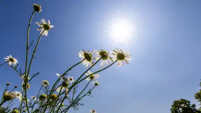 Am Sonntag werden in Bremen und umzu Temperaturen von bis zu 34 Grad erwartet.
