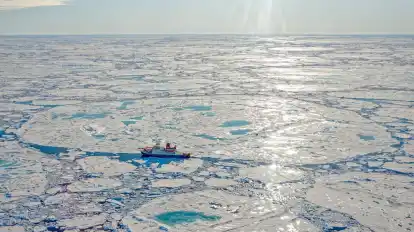 Die "Polarstern" kehrt zurück in die Arktis.