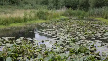 Ob Park Links der Weser oder Sodenmattsee: Der Huchtinger Jugend gefällt besonders die Natur im Stadtteil.
