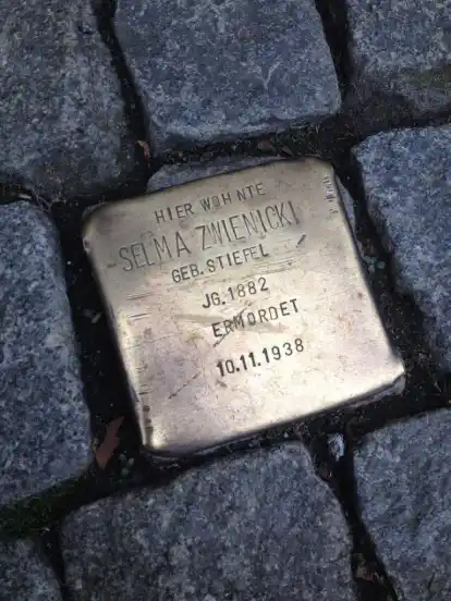 Das NovemberPogrom von 1938 in Bremen Der Fall Selma Zwienicki