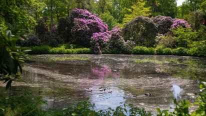 Baustelle beeintrchtigt Zugang zum Rhododendron-Park in Bremen