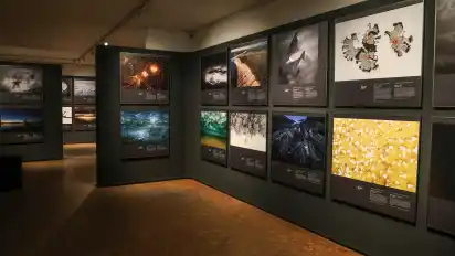 Im großen Sonderausstellungsraum können die Gäste eine optische Reise um den Globus unternehmen – und in die Tiefsee.