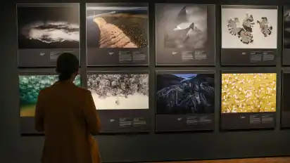 Rund 80 erstklassigen Fotoexponaten stellt das Pferdemuseum dieses Jahr aus.