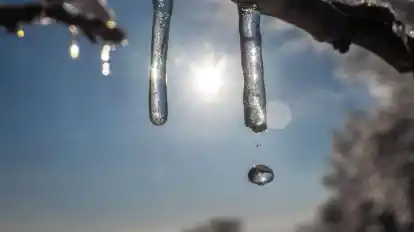 Winterwetter in Frankfurt: Die Sonne lässt die Eisschicht auf den Bäumen schmelzen.