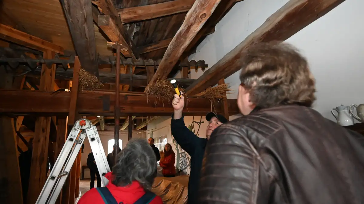 Mühle von Rönn: Kampf gegen den Holzwurm