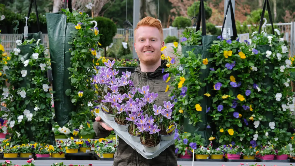 Frühling in Delmenhorst Diese Pflanzen sind Trend für Garten, Balkon