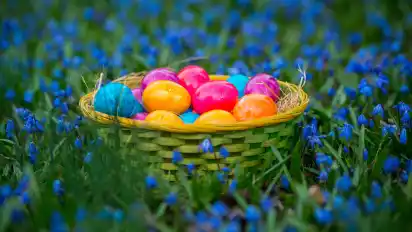 Die warmen Temperaturen lassen dieser Tage die Frühlingsblumen wie diese Blausternchen munter sprießen. Ideal für die Ostereiersuche im Freien.