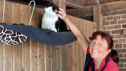 Annette Engelhardt von der Ballermann-Ranch mit Kater ”Mau”, der demnächst in die neu renovierte Katzenvilla einziehen wird.