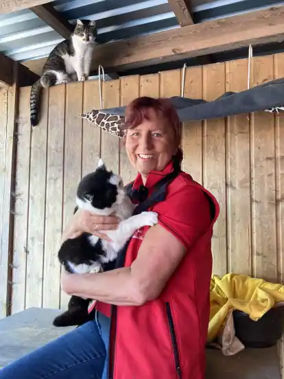 Annette Engelhardt mit den beiden gut zehnjährigen Katern, die demnächst in die frisch renovierte Katzenvilla ins ”Gut Aiderbilchl Miniland” einziehen werden.