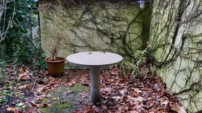 Das Gärtchen im Herbst. Verwaist und der Boden mit Herbstlaub bedeckt.