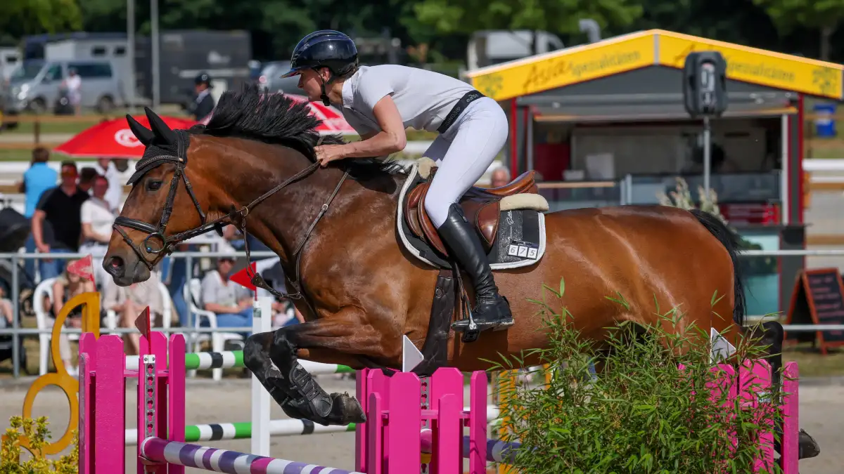 Aller-Weser Classics in Verden: Die Veranstalter sind zufrieden