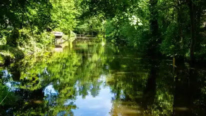Die Natur rund um Fischerhude lädt zum Entdecken ein.