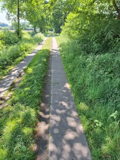Die Piste nahe Löhnhorst.