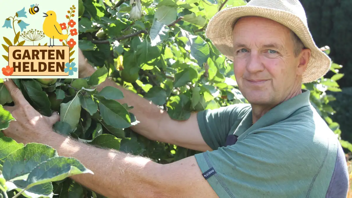 Podcast Gartenhelden: Tricks von Landschaftsgärtner Hartmut Clemen