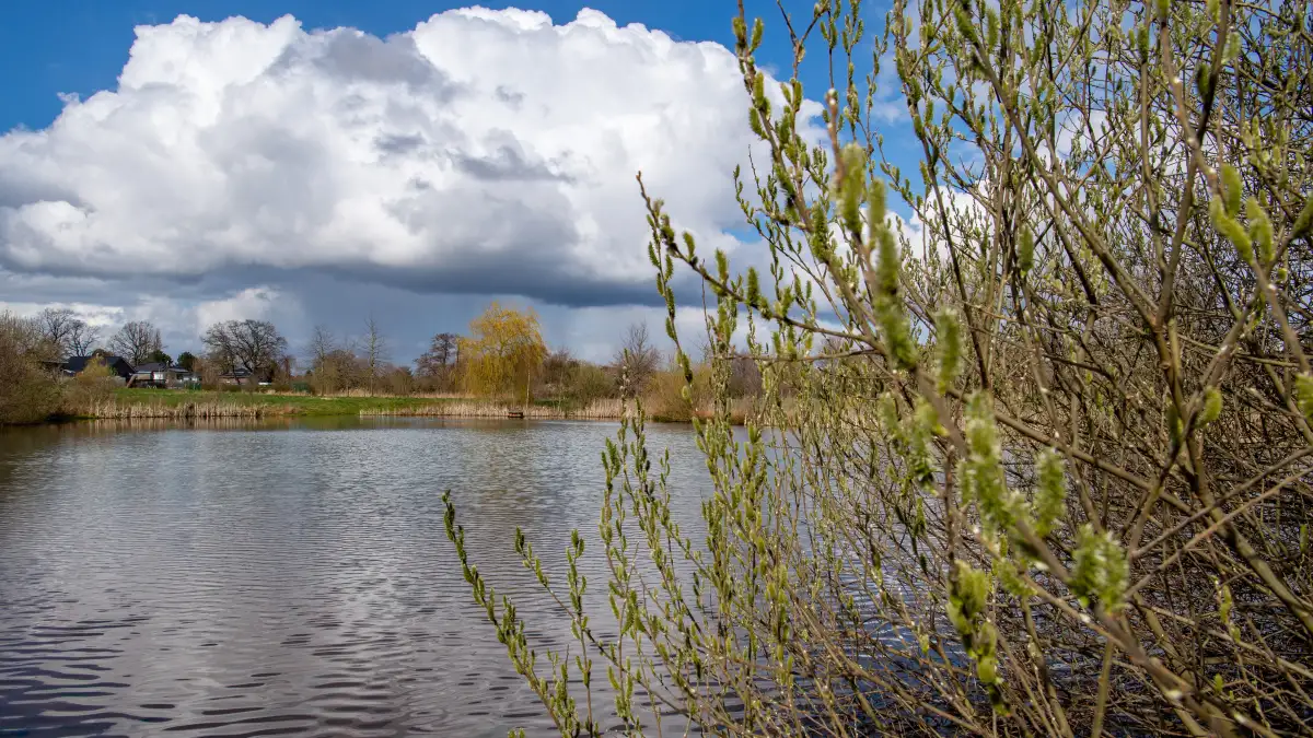Oyten Lärmaktionsplan Stufe 4 und die politischen Herausforderungen