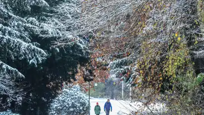 Im Bürgerpark genossen Spaziergänger das weiße Ambiente als erste Vorboten des nahenden Winters.