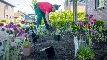 Stadt Achim schreibt mehr als 100 Besitzer von Schottergärten an