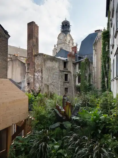 Dschungel mitten in der Stadt von Künstler Evor.