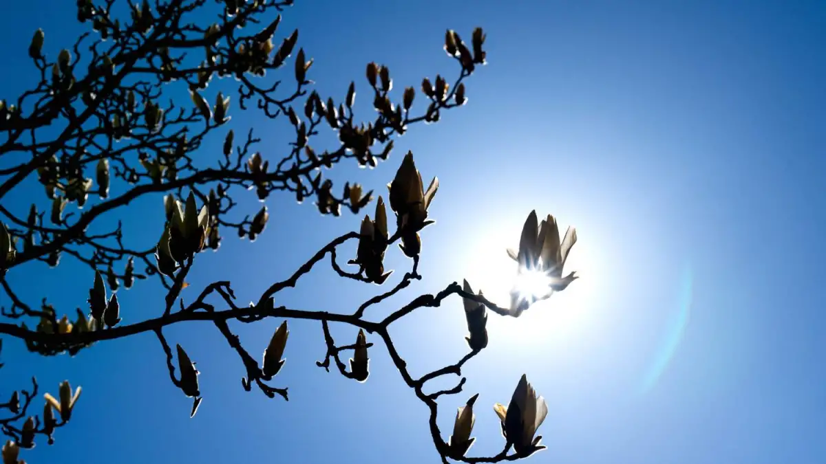 Lots of sunshine to start the week in Lower Saxony and Bremen