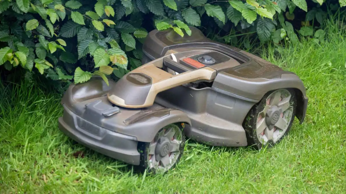 Bremen schützt Igel: Nächtliches Fahrverbot für Mähroboter