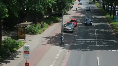 Auch an der Kurfürstenallee stehen zahlreiche Straßenbäume.
