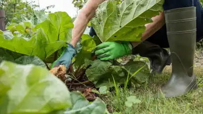 Unter anderem Gartenprojekte unterstütz der Beirat Huchting mit Fördergeld.