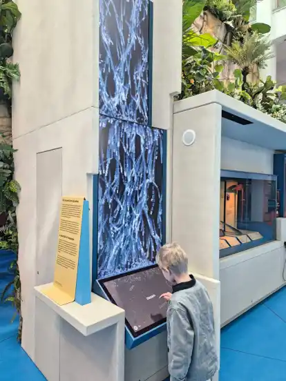 Am digitalen Wasserfall können die Besucherinnen und Besucher in die blaue Welt der Inselvölker eintauchen.