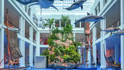 Die beeindruckende Insel im Lichthof ist der Mittelpunkt der neuen Dauerausstellung im Übersee-Museum.